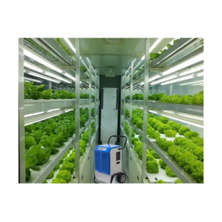 DEHUMIDIFIER 50L (MONTHLY RATE)